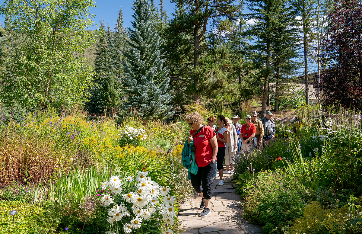 betty ford alpine gardens tours available during summer season photo 3