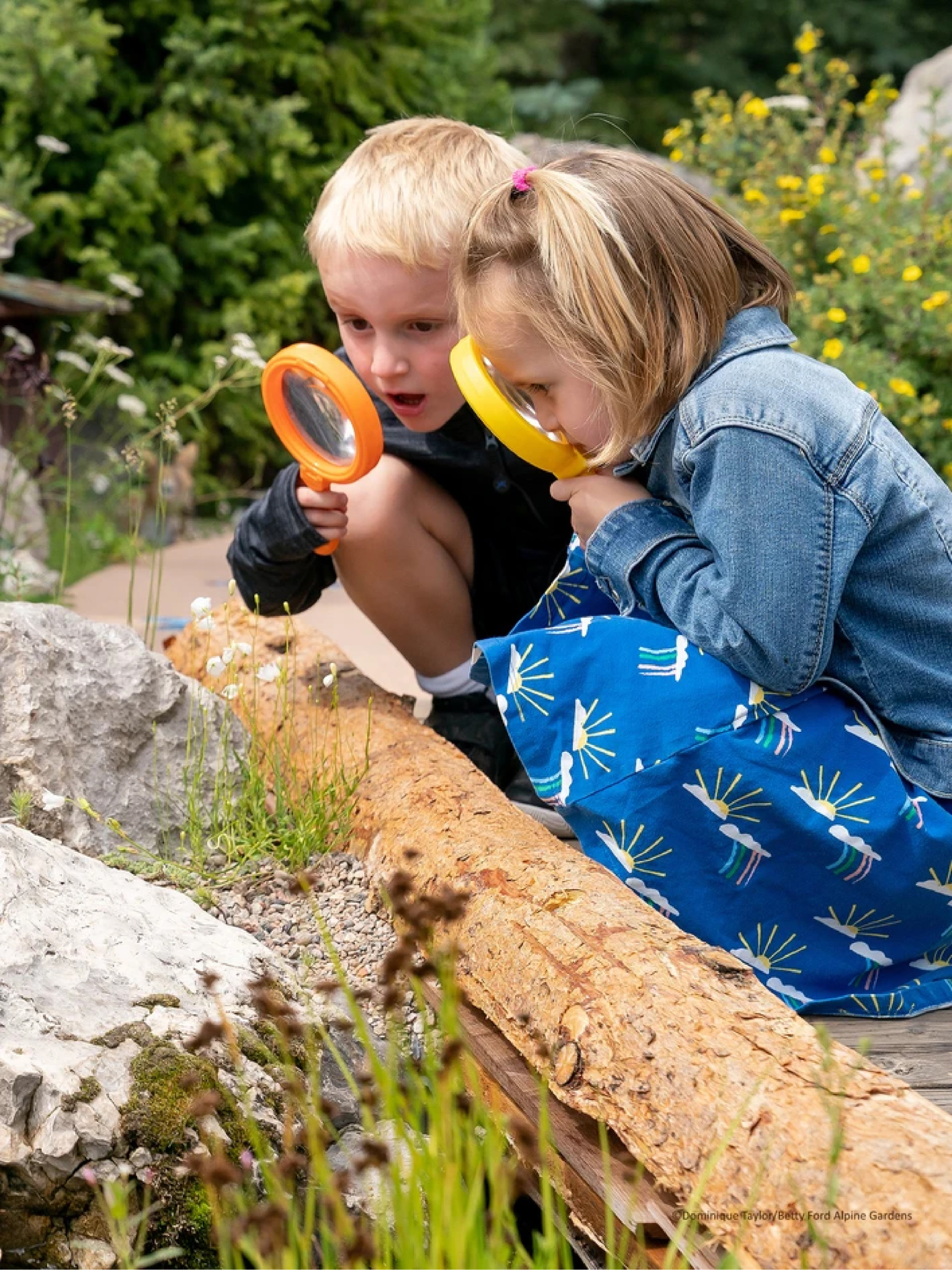 children exploring betty ford alpine gardens photo 13