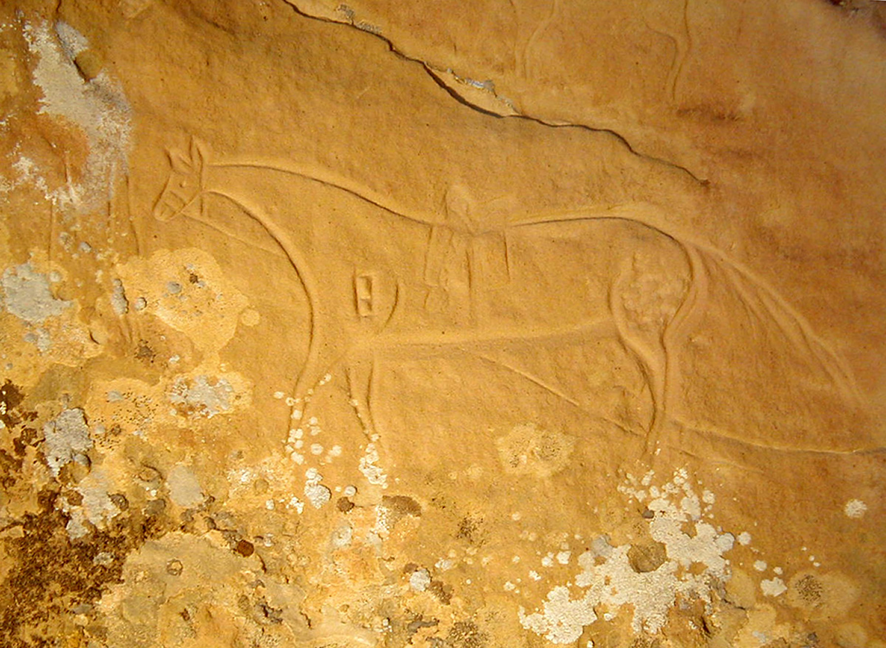 canyon pintado national historic district photo