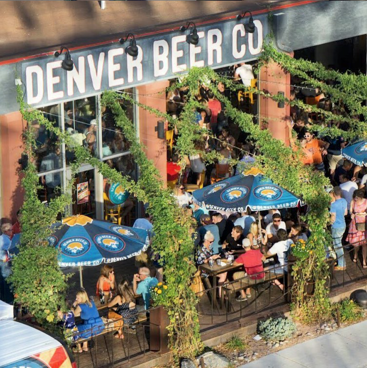 denver beer co photo