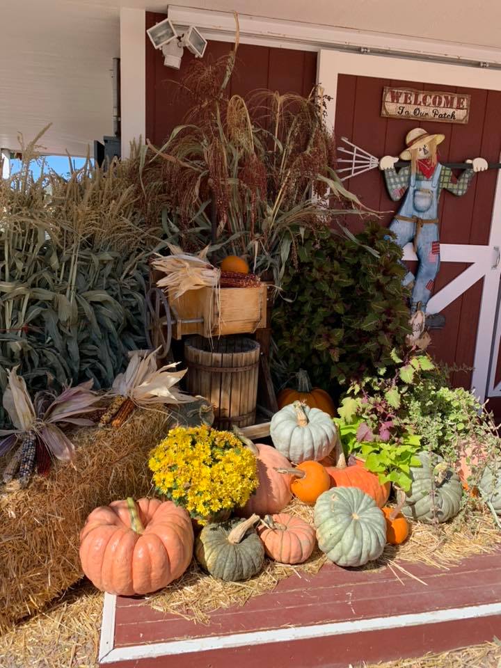 lots of ideas for your fall displays! photo