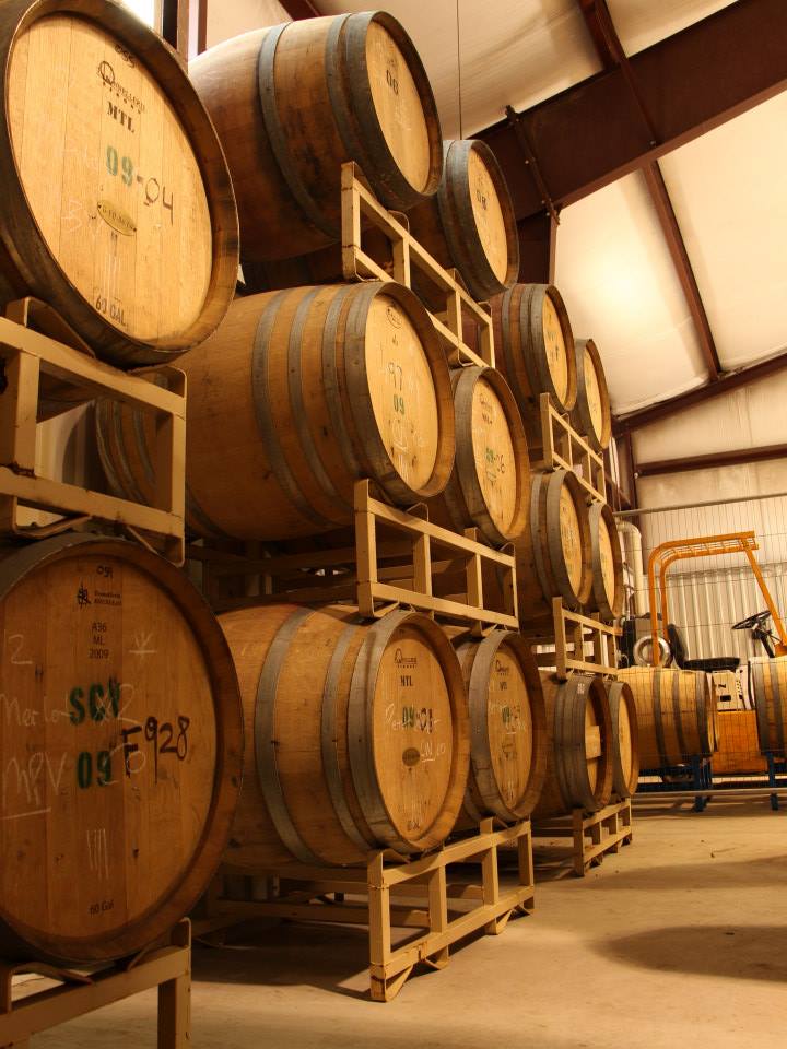 wine storage photo