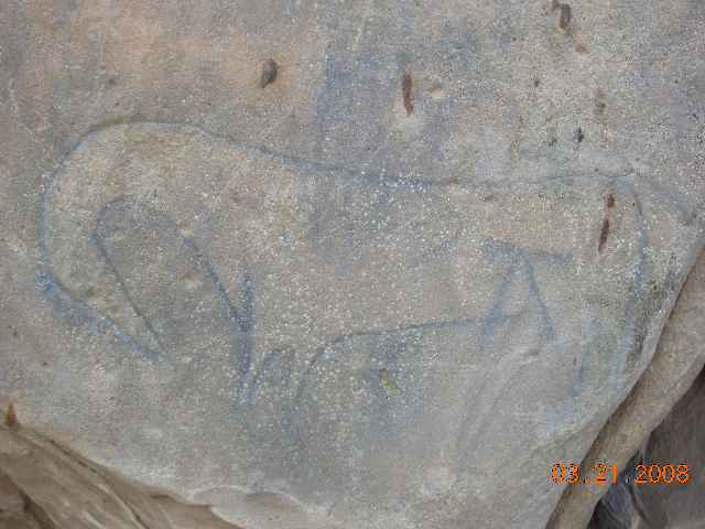 picture canyon photo