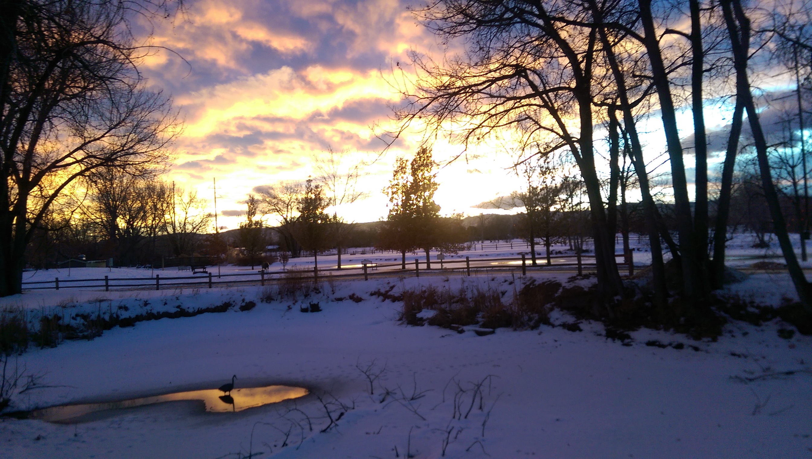 a sunset view in the winter time at hudson gardens. photo