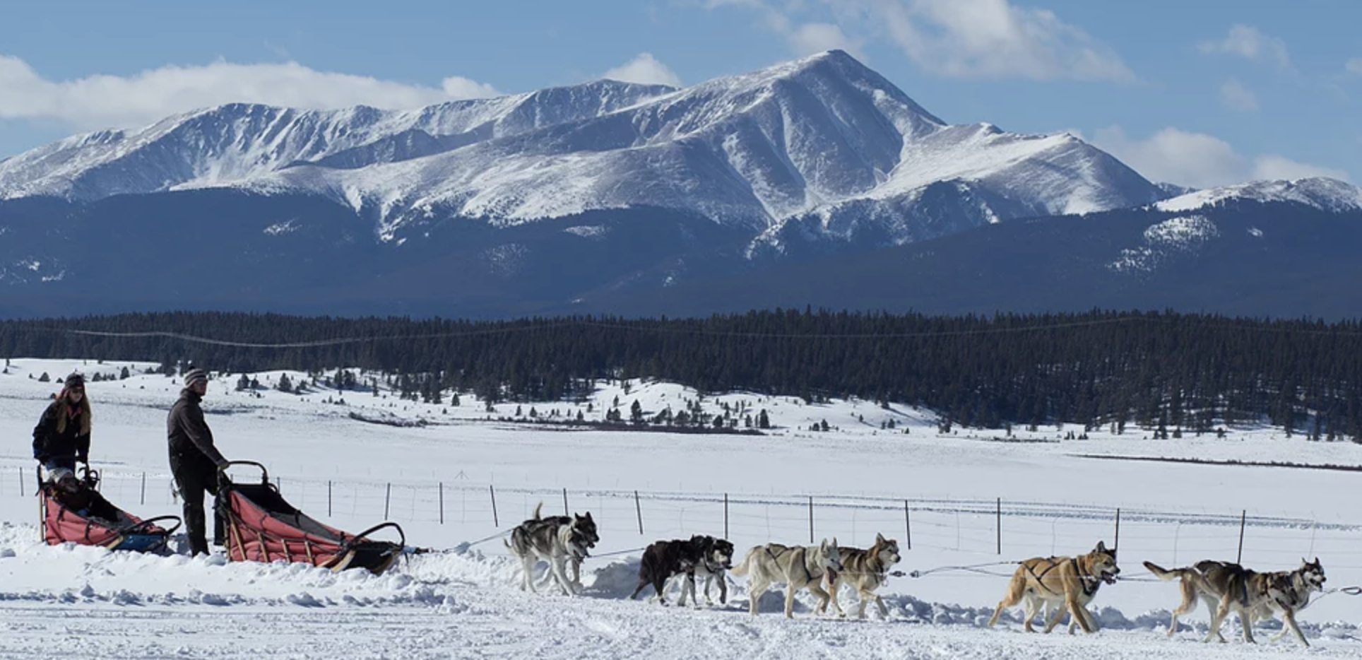 alpine adventures dogsledding photo