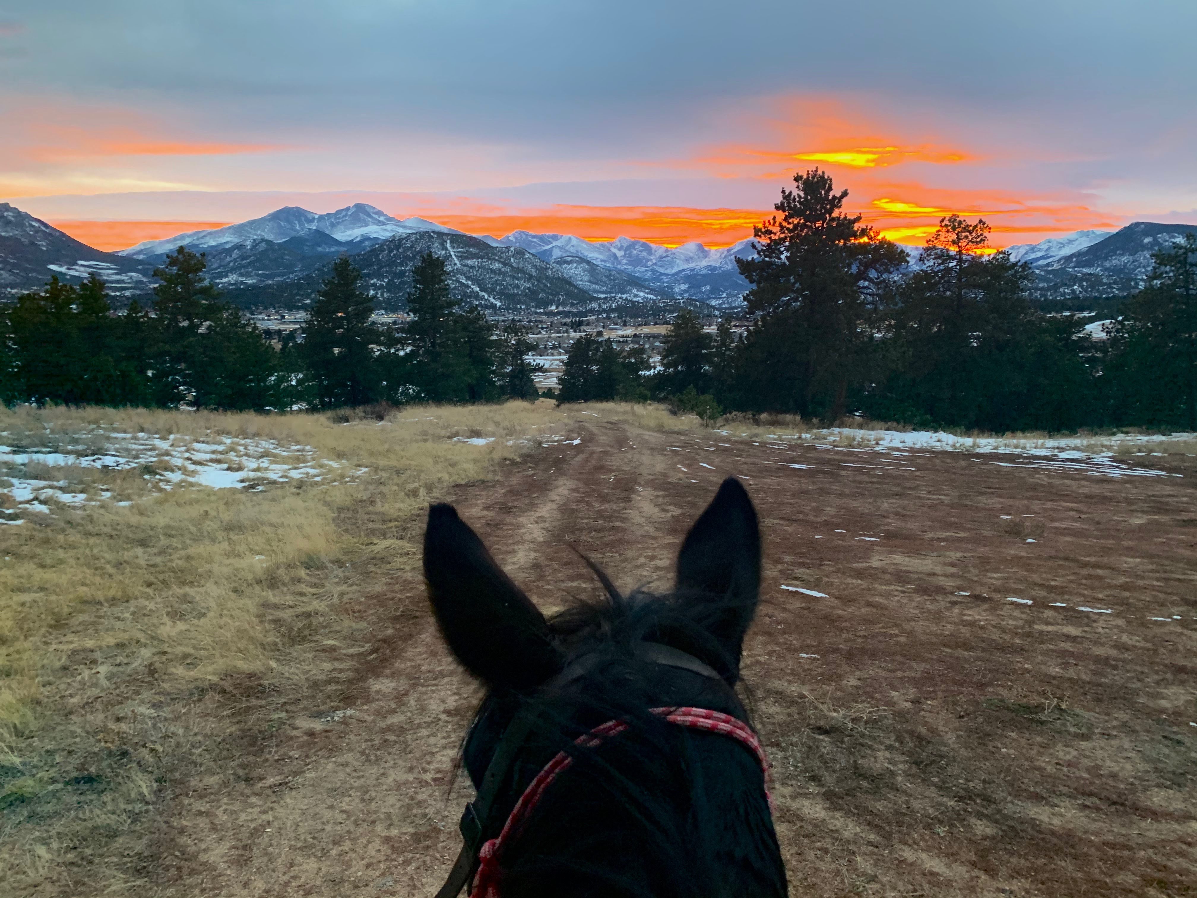 discover why forbes named us 1 of the 5 best places in america to ride horses photo