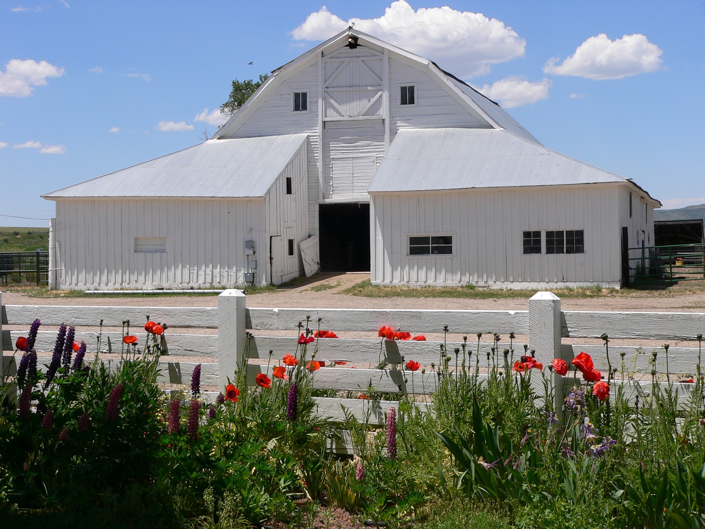 nature conservancy carpenter ranch photo