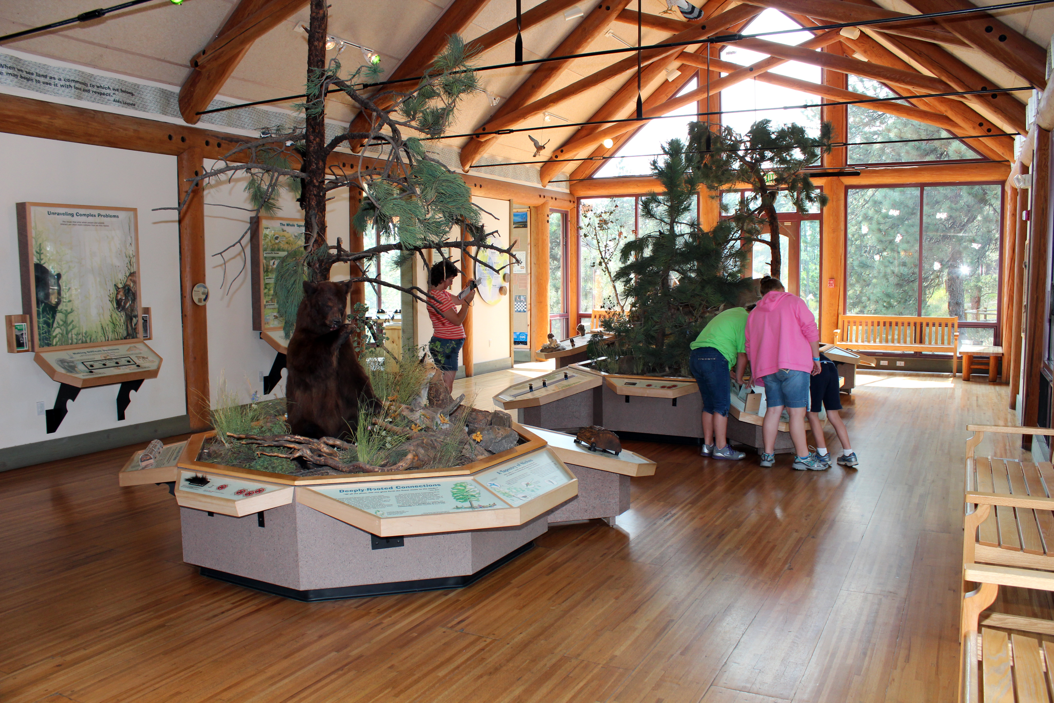 interior exhibits and diorama photo