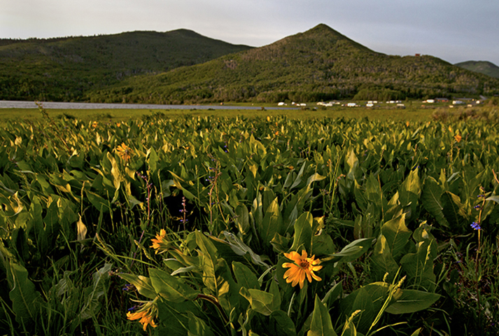 vega state park-scenic photo