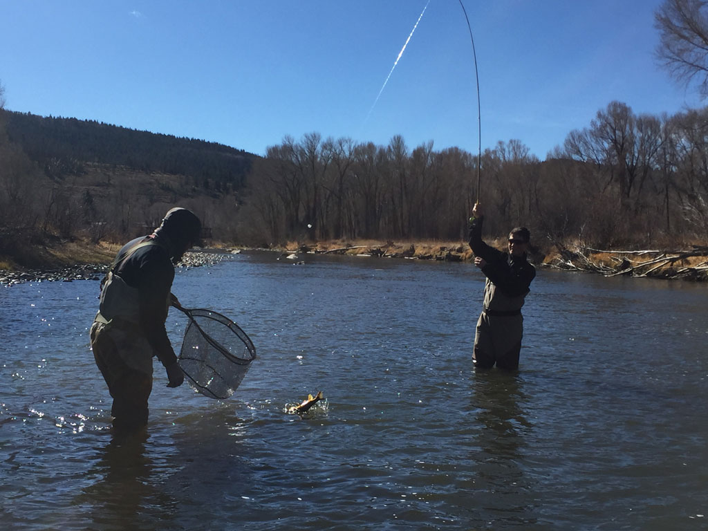 catch a colorado trout on the fly photo