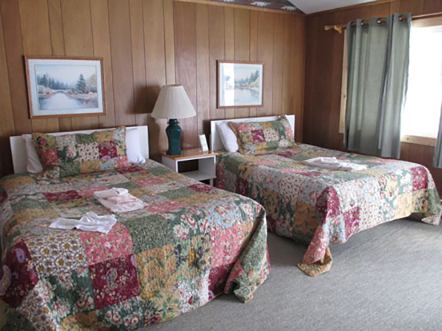 alpine moose lodge in lake city photo