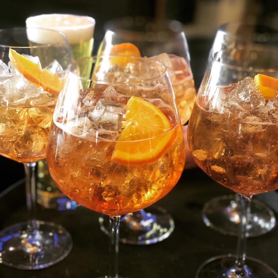 root & flower in vail photo