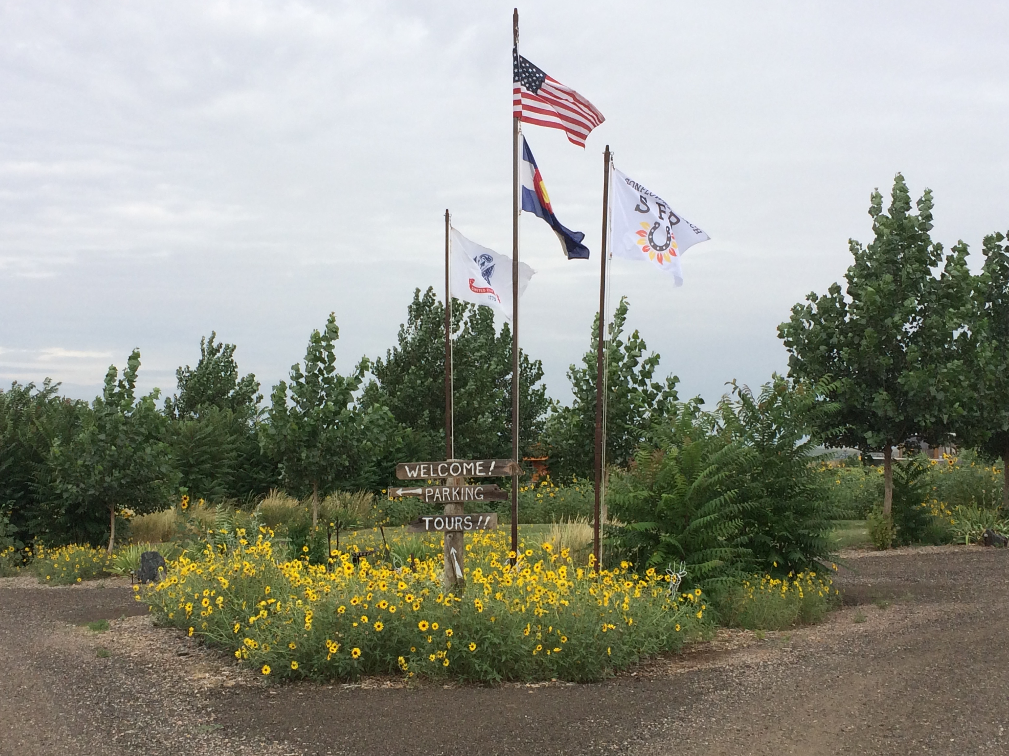 welcome to our ranch! photo