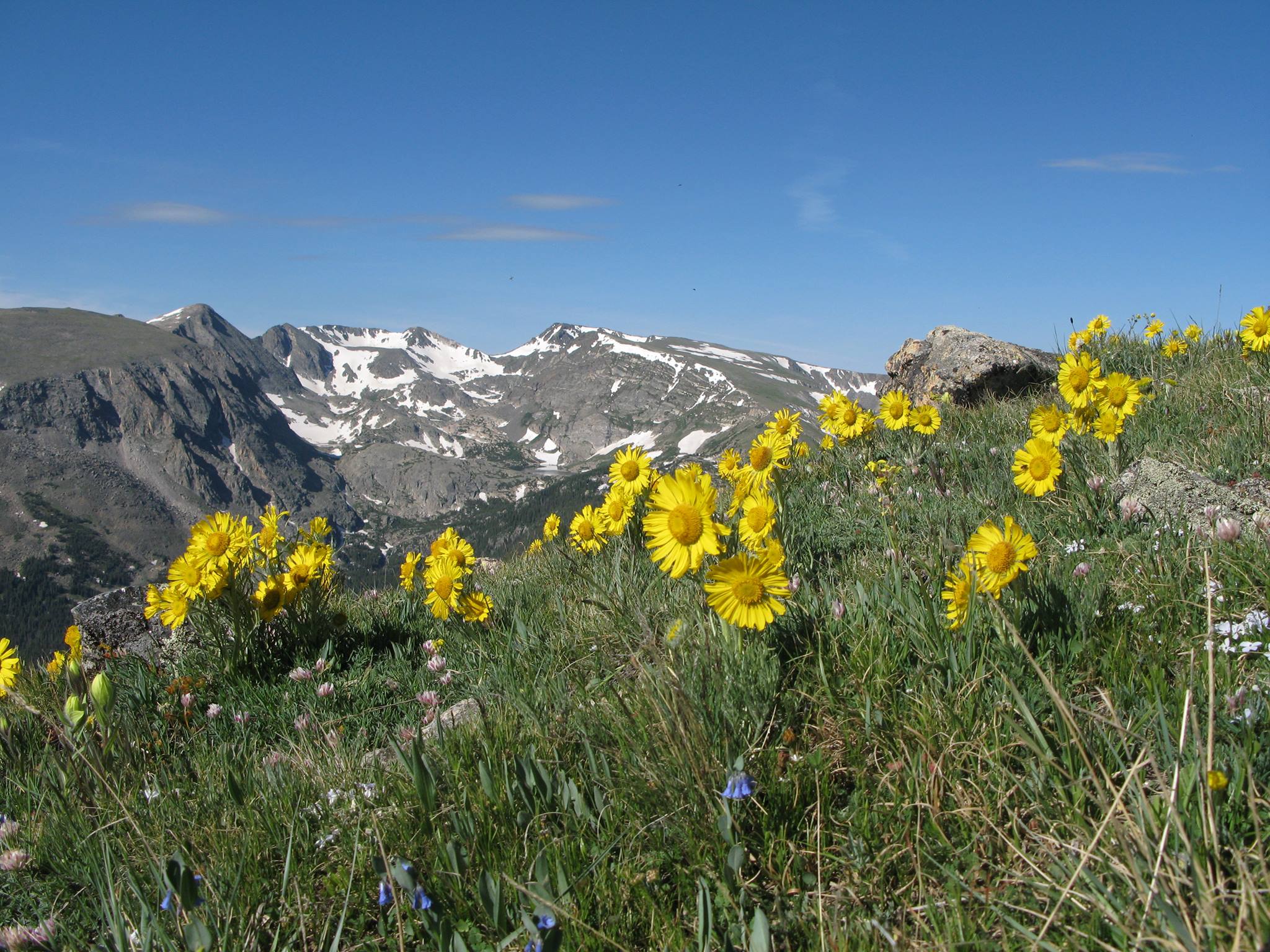 rocky mountain conservancy photo