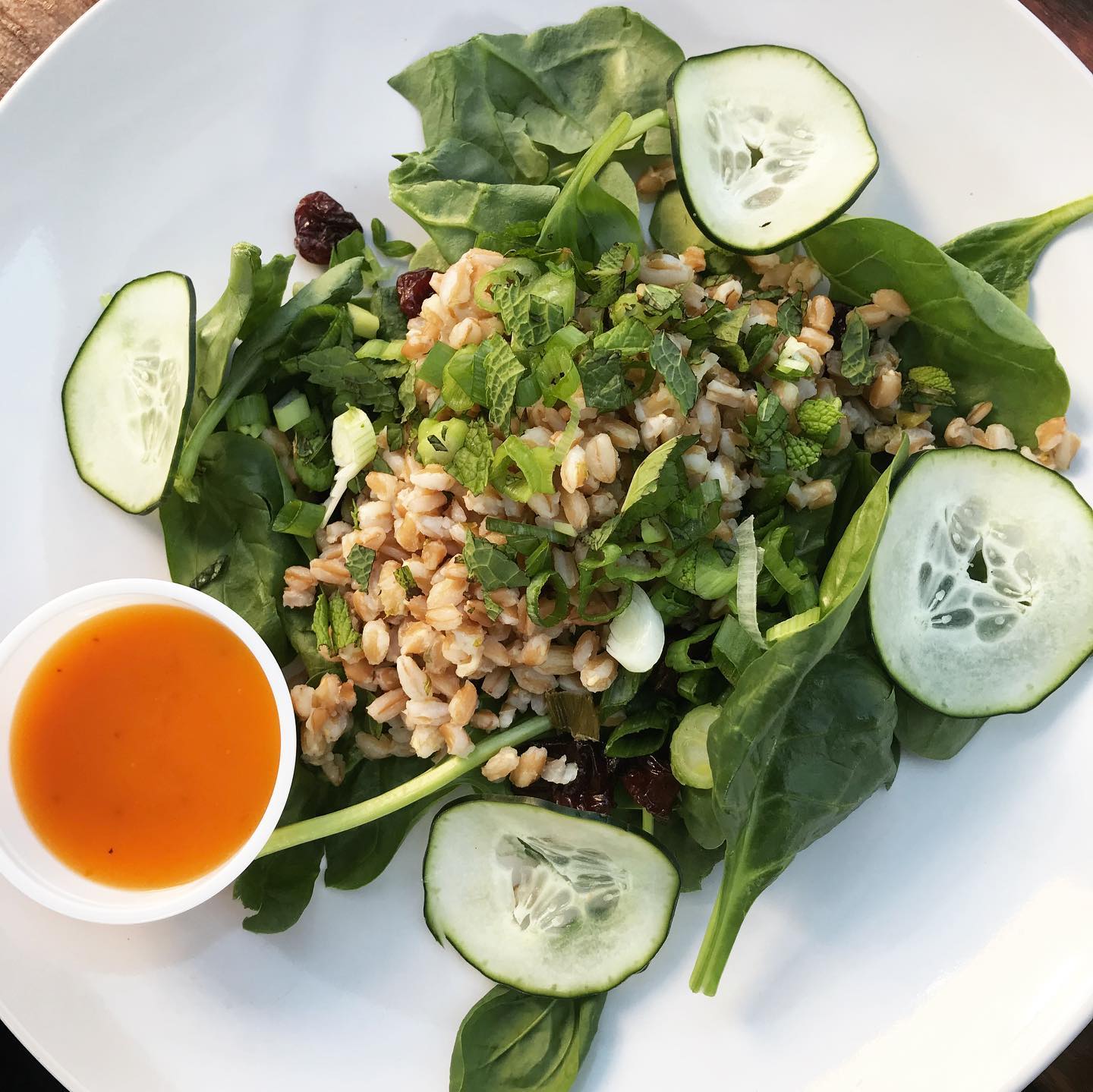 four corners cafe at chipeta solar springs resort photo