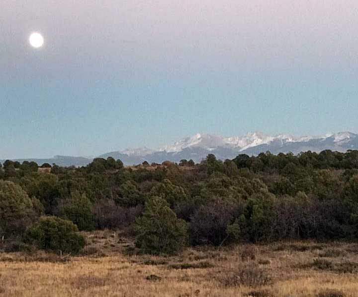 critter mountain ranch in dolores photo