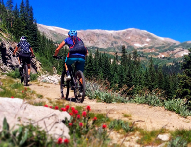 absolute bikes in salida photo