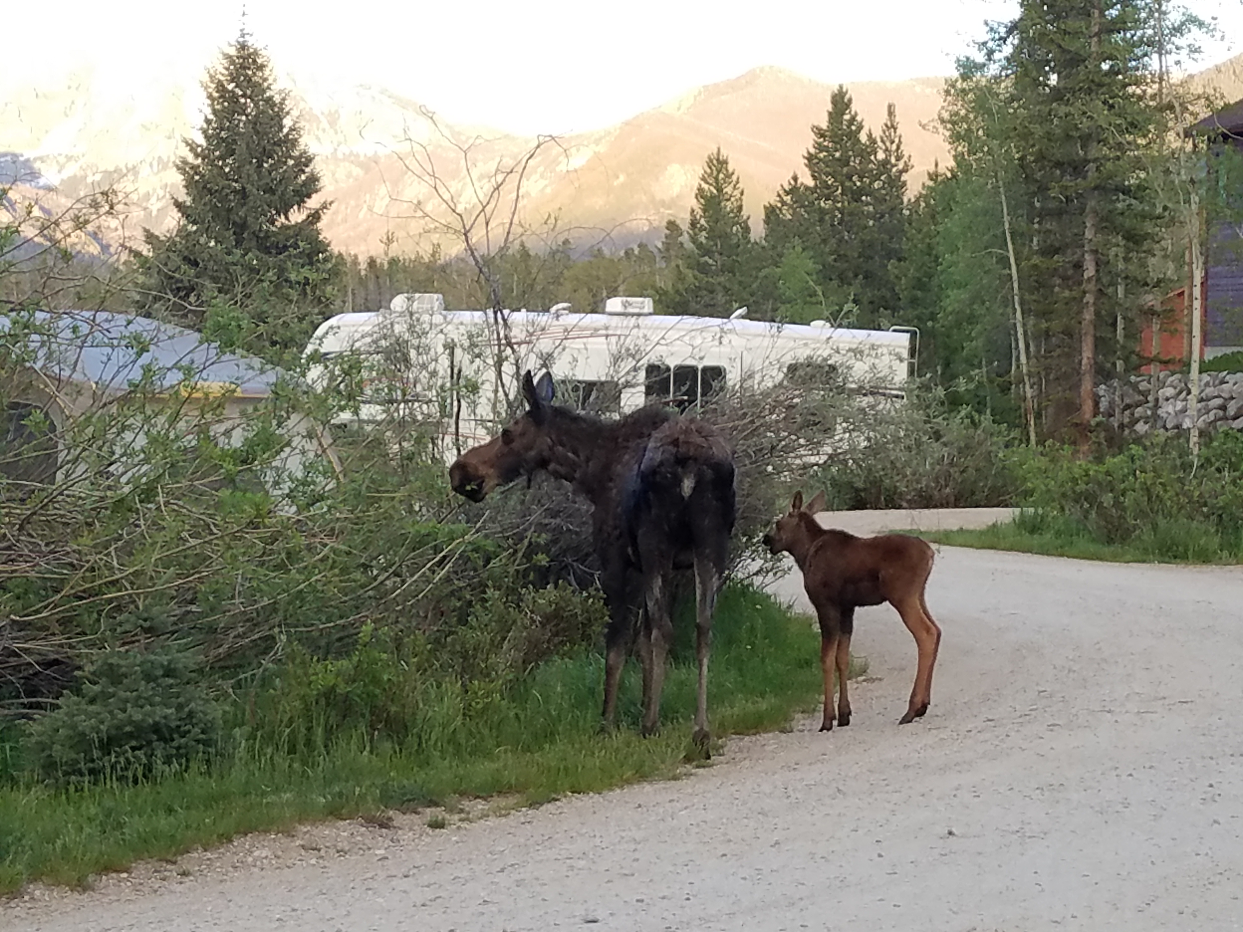 a truely unique camping experience photo