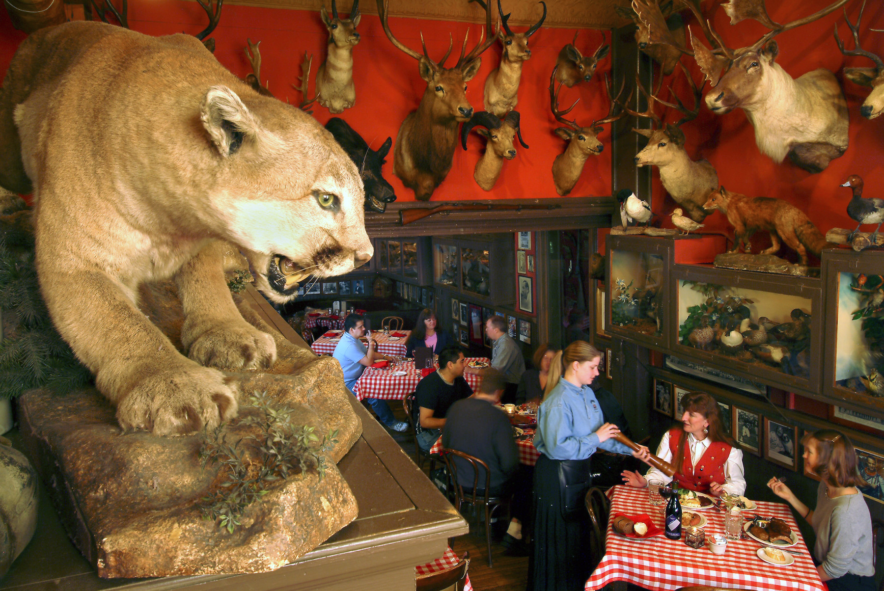 buckhorn exchange restaurant in denver photo