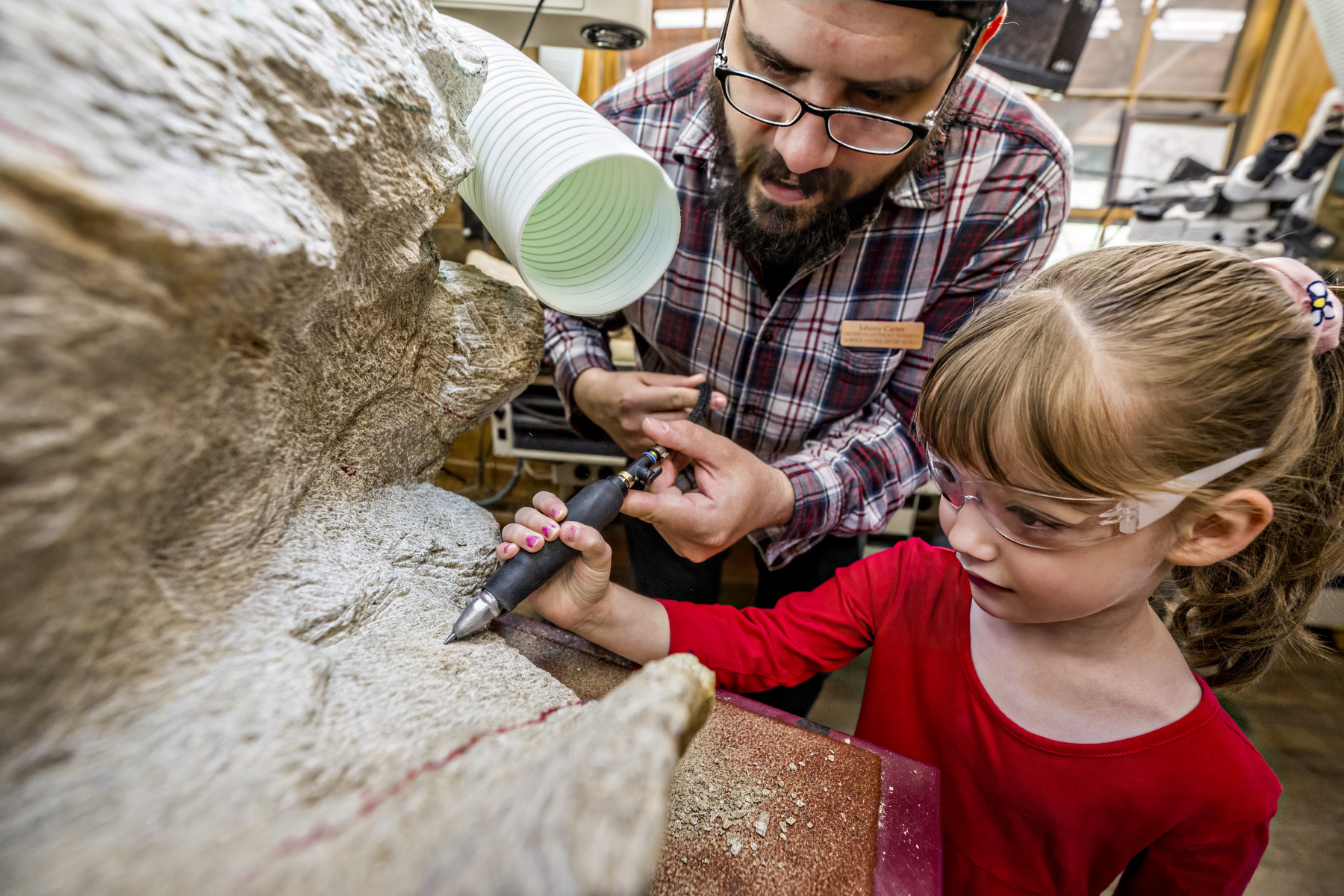 help remove rock from dinosaur fossils. photo 4