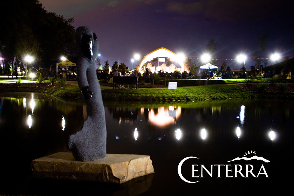 chapungu sculpture part at night photo