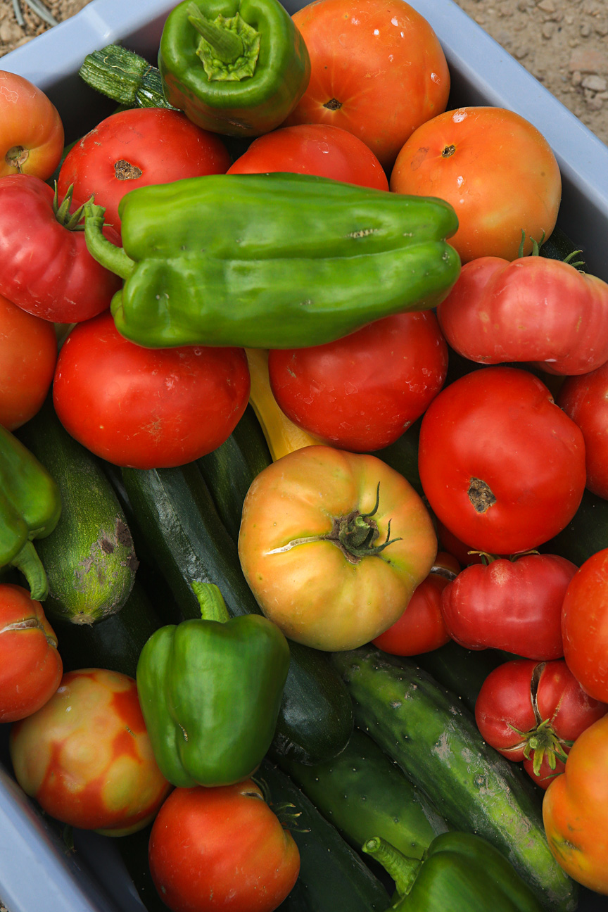 fresh produce and fruit from local growers or our own gardens support our field to fork cuisine for events or our restaurants. photo 11