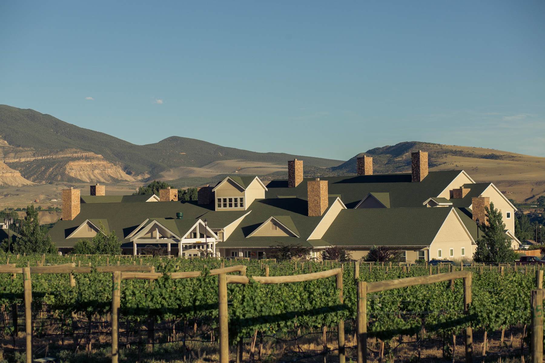 the inn sits amidst 21 acres of working vineyards. photo