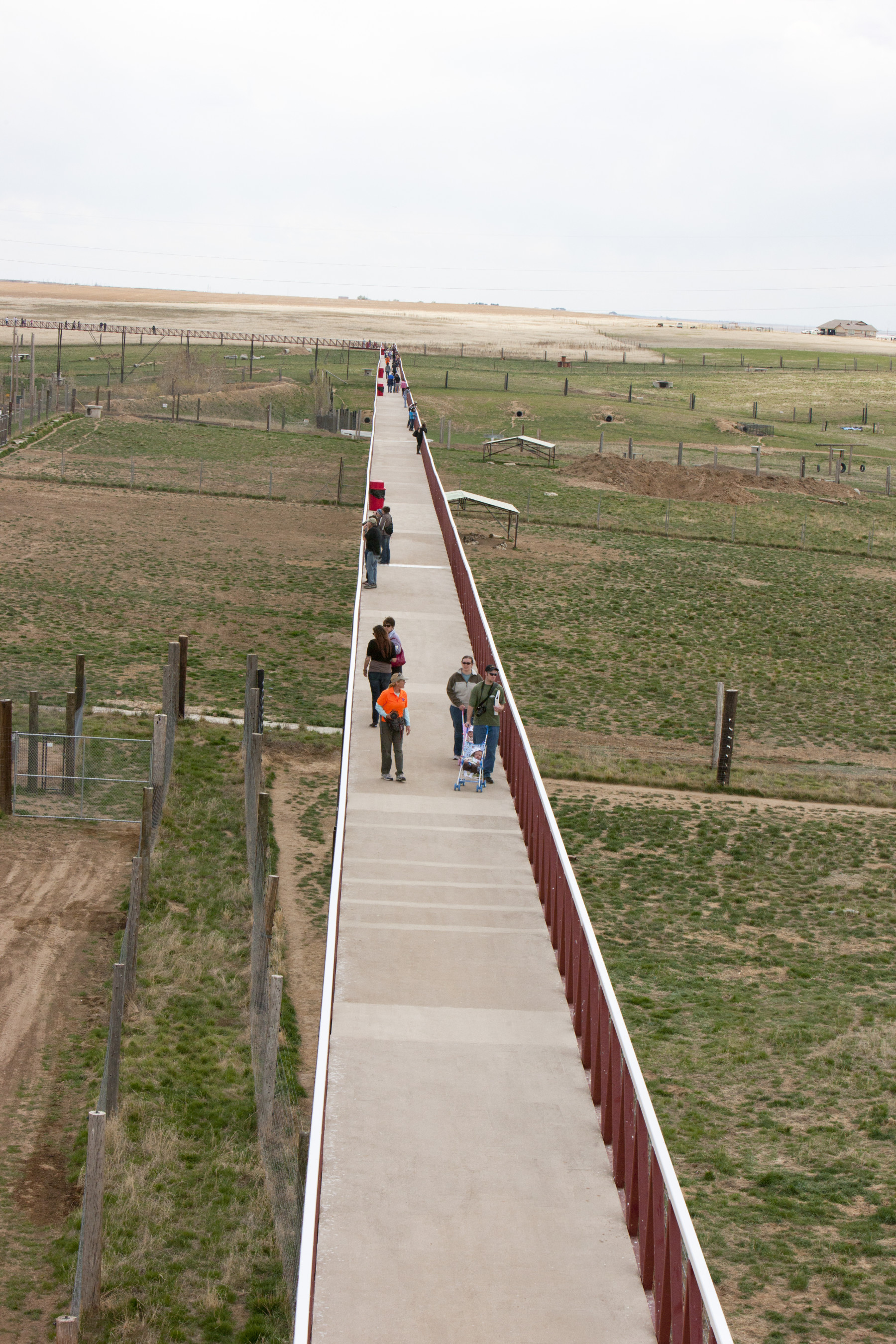 walkway over habitats photo 13