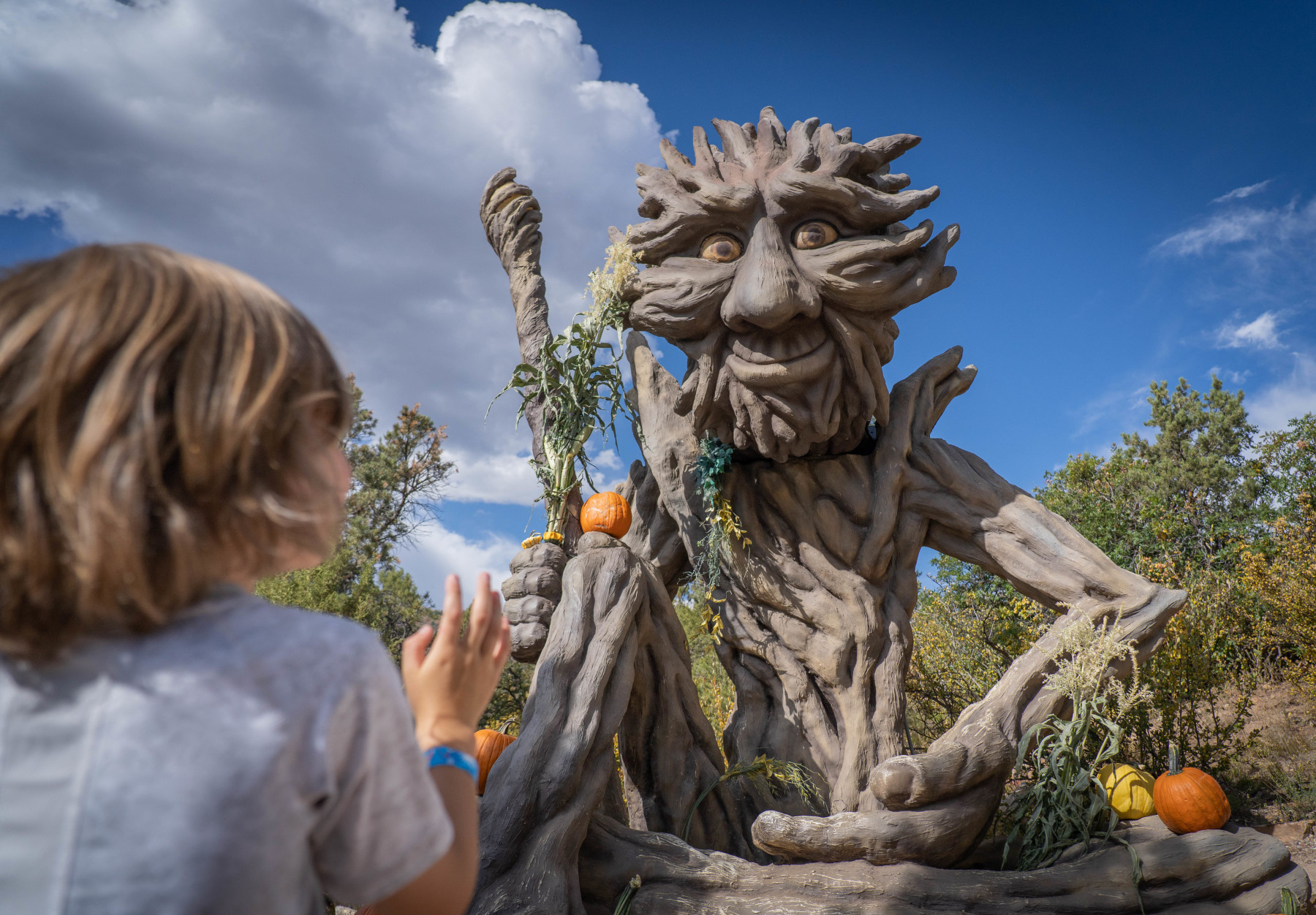 glenwood caverns adventure park photo 4