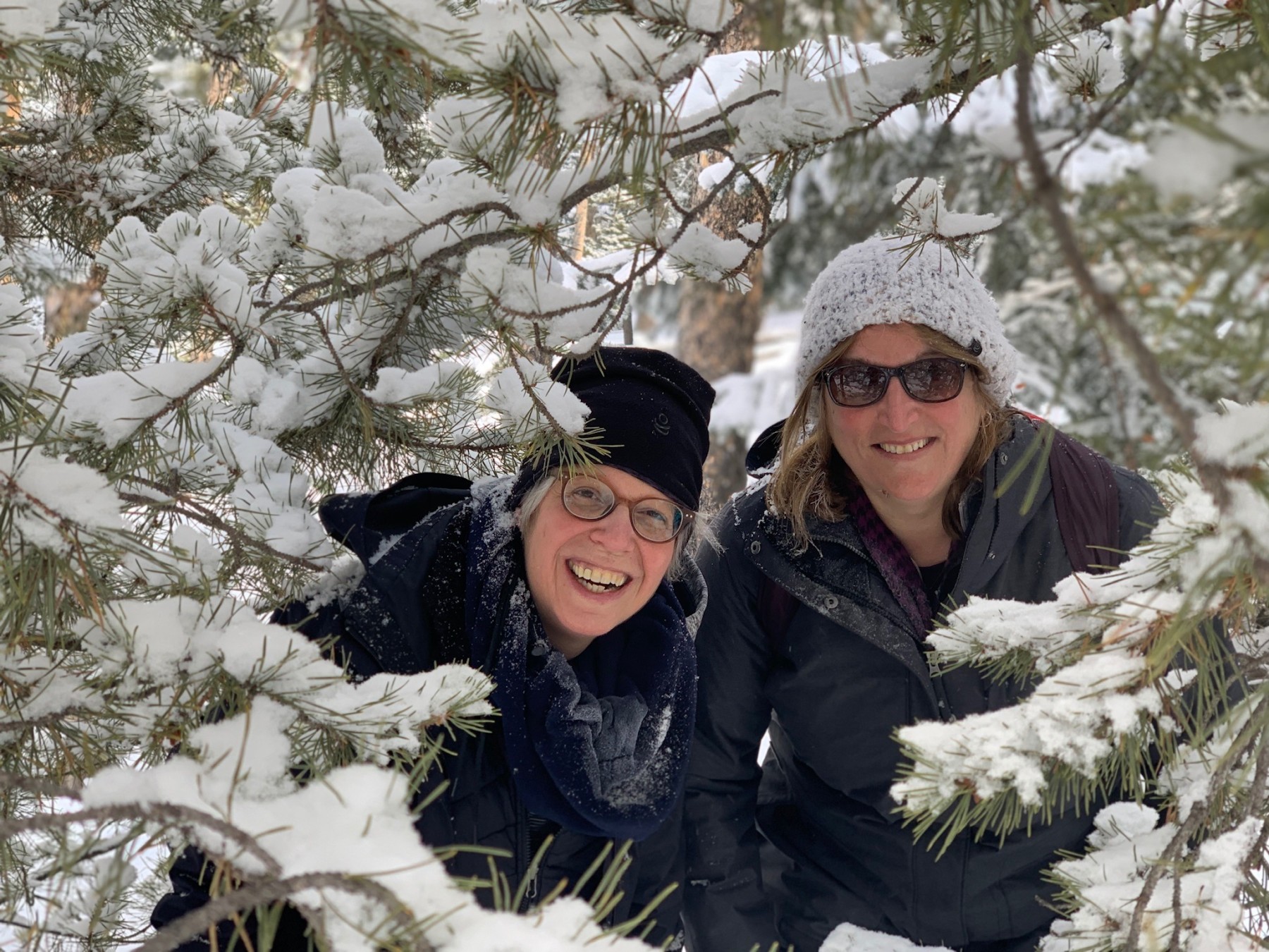 snowshoe with family and friends! photo 17
