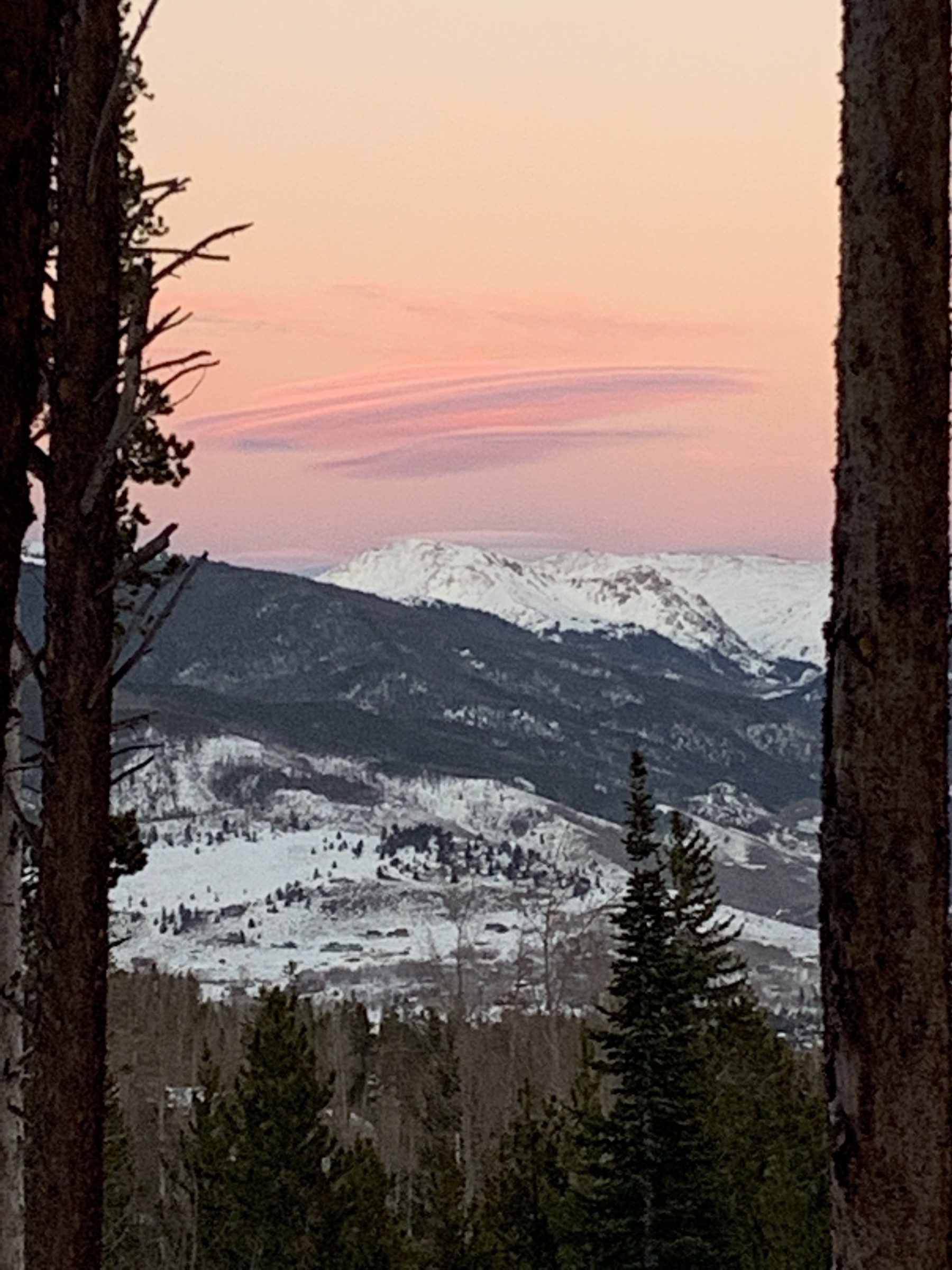 a1 vacation rentals photo 11