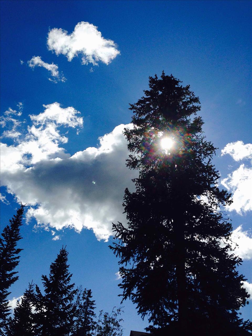 a1 vacation rentals photo 9