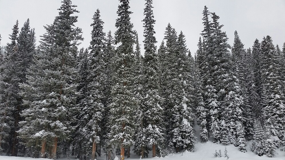 a1 vacation rentals photo 12