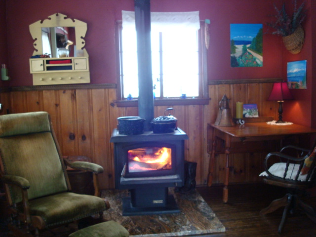 luna's wood stove photo 2
