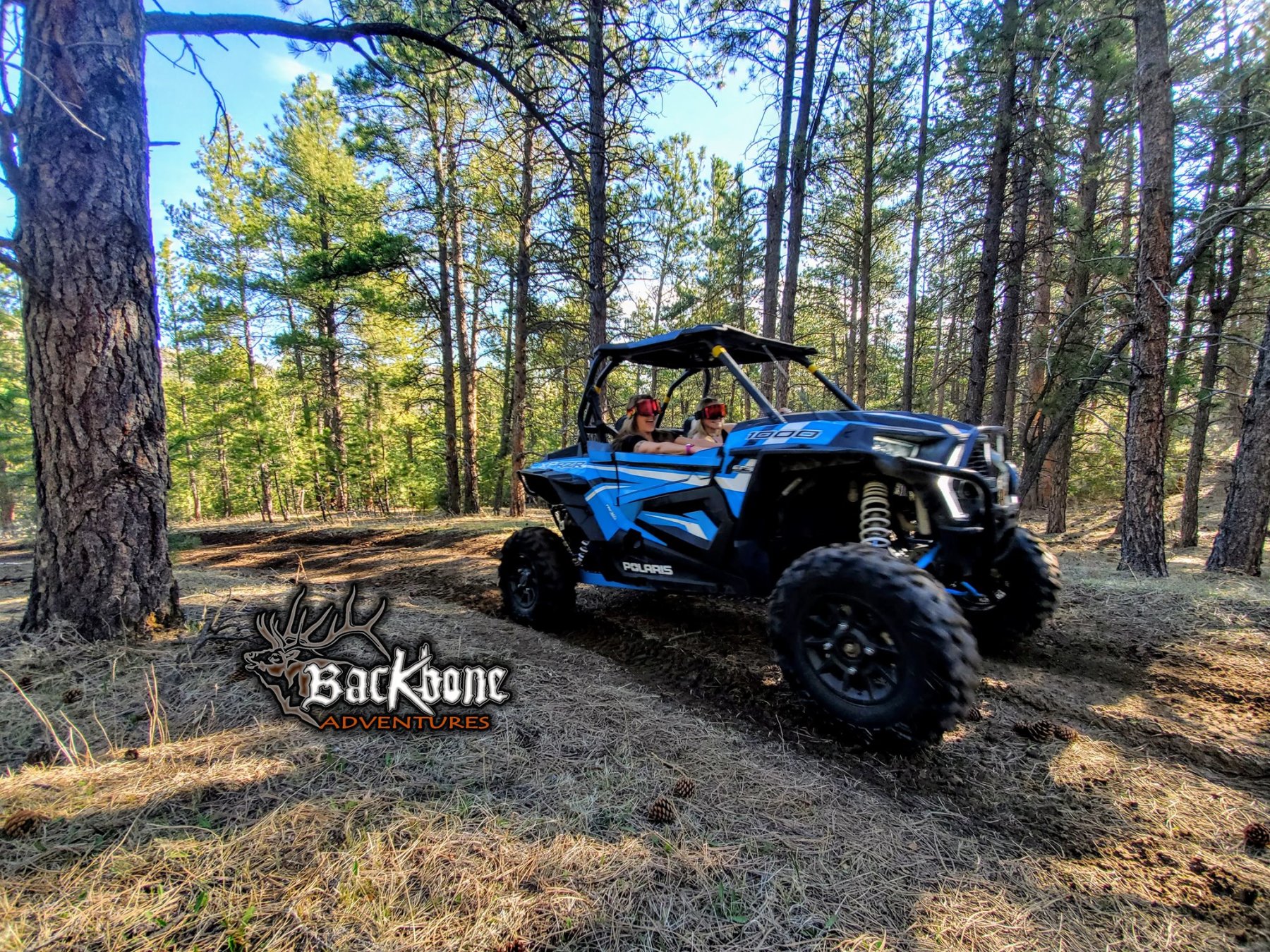 razor xp 1000 photo 8