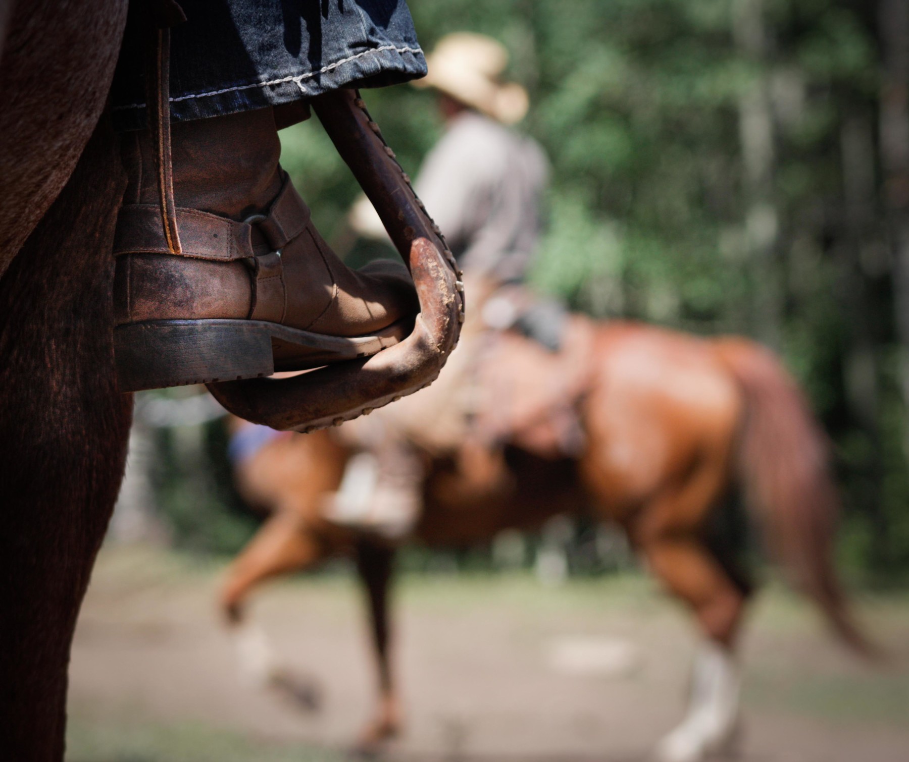 black mountain colorado dude ranch photo